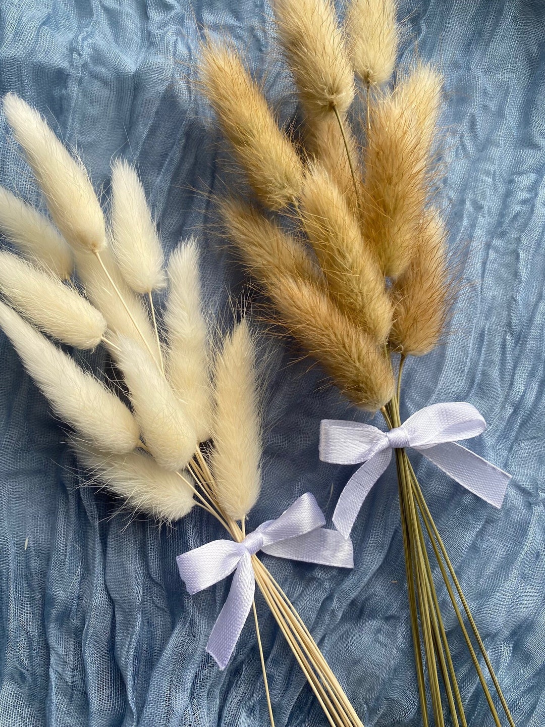 Bunch of 10 Bunny Tail Stems With White Ribbon Etsy
