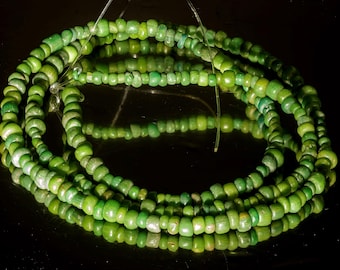 Ausgegrabene Indo-Pazifik Passatperlen in Grün