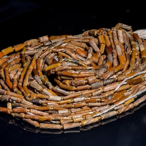 Glass Bangle Beads from Pakistan Orange Tones X164