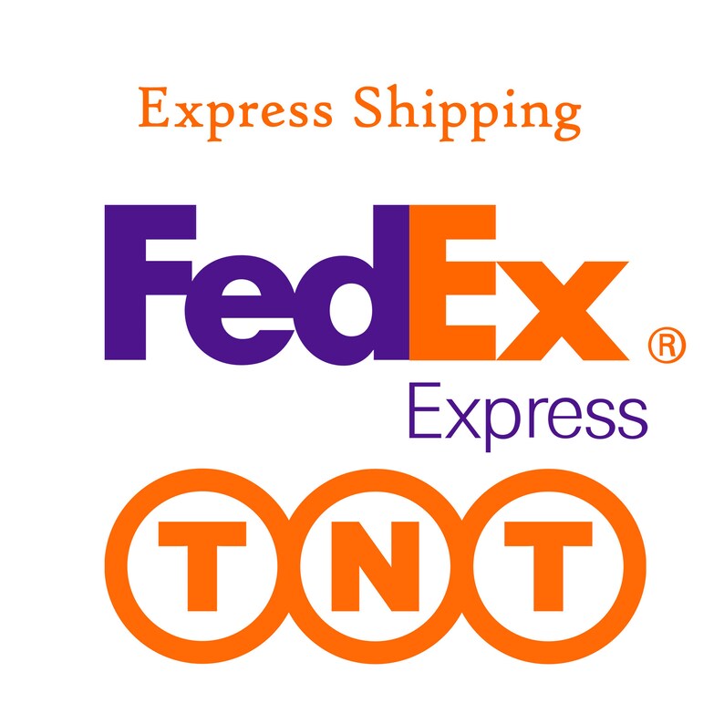 Op de afbeelding: FedEx Express en TNT logo's in oranje en wit op een witte achtergrond. Het FedEx logo is paars en oranje. De tekst "Express Shipping" staat boven de logo's.