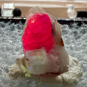 May include: A raw mineral specimen featuring a vibrant, fluorescent hot pink crystal formation set atop a textured, pale off-white matrix base. The crystal displays a sharp, saturated color contrast against the translucent, crystalline structure.