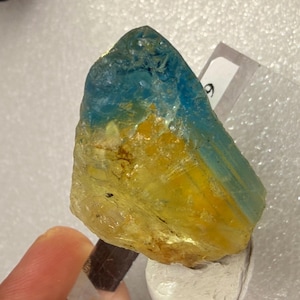 May include: A rough-cut gemstone with a gradient of colors, transitioning from a vibrant blue at the top to a sunny yellow at the base. The stone has a crystalline structure and is held by a small, dark brown support.