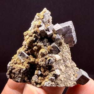 May include: A mineral specimen featuring metallic gray cubic crystals embedded in a cluster of textured, golden-brown spherical formations. The structure includes a rough, light-colored base with smaller crystalline deposits scattered throughout the surface.
