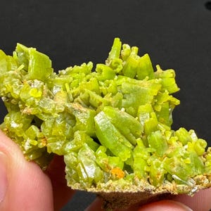 May include: A vibrant, lime-green mineral specimen with a crystalline structure. The mineral has a rough, textured surface and is held in a person's hand. The color is consistent throughout the specimen, with some areas appearing more translucent.