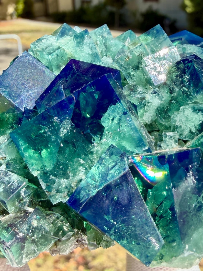 May include: A cluster of translucent fluorite crystals featuring sharp cubic formations in vibrant shades of deep royal blue and bright emerald green. The mineral specimen displays internal fractures, geometric facets, and a reflective surface.