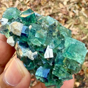May include: A cluster of translucent, deep green cubic fluorite crystals with sharp, geometric edges and smooth, reflective surfaces. The mineral specimen features varying shades of emerald and forest green, interspersed with small, opaque white matrix fragments.