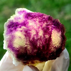 May include: A vibrant, multi-colored fluorite mineral specimen. The crystal features a mix of purple, yellow, and white hues, with a textured, crystalline surface. The specimen is held in a gloved hand, showcasing its natural beauty and unique color variations.