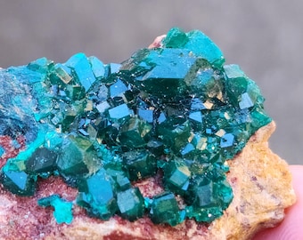 Smaragd Farbe Dioptas Kristalle aus Namibia, hoch glänzende Kristalle, US TOP Kristalle