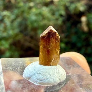 May include: A golden-brown crystal with a pointed tip, mounted on a small, white, textured base. The crystal is a rich amber color, and the base appears to be made of a porous material. The background is blurred green foliage.