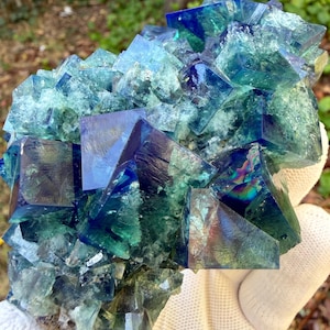 May include: A cluster of cubic fluorite crystals featuring deep blue and vibrant green hues. The mineral specimen displays translucent, geometric shapes with sharp edges and smooth, reflective surfaces, showcasing natural color zoning throughout.