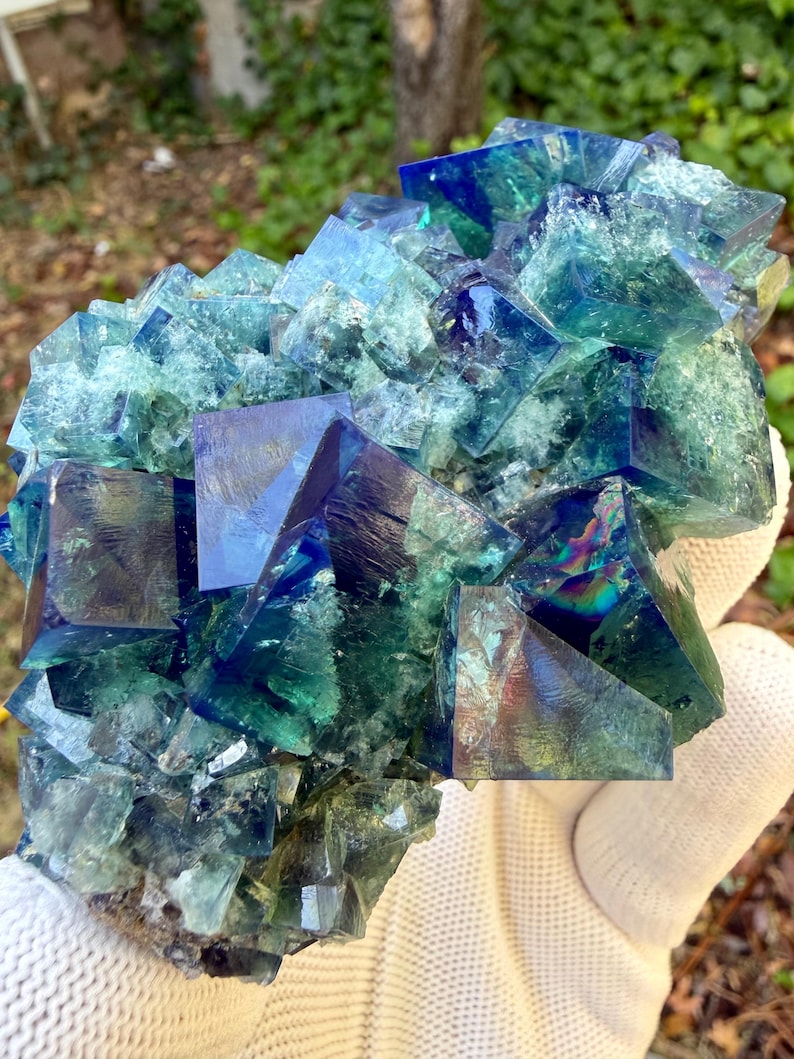 May include: A cluster of cubic fluorite crystals featuring deep blue and vibrant green hues. The mineral specimen displays translucent, geometric shapes with sharp edges and smooth, reflective surfaces, showcasing natural color zoning throughout.