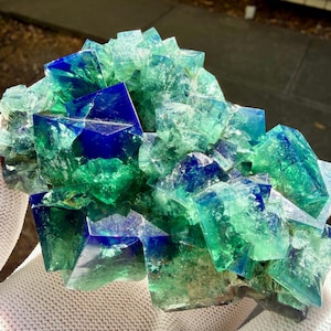 May include: A cluster of translucent cubic crystals featuring a vibrant gradient of deep royal blue and bright emerald green. The mineral specimen displays sharp geometric edges, a glassy texture, and internal fractures that catch the light.