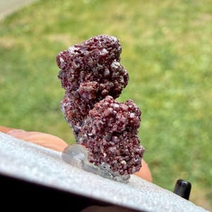 May include: A close-up of a dark red, porous mineral specimen. The mineral has a rough, textured surface and is mounted on a clear adhesive. The background is blurred green grass.