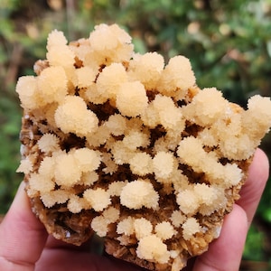 Exceptionally Amazing Flower Calcite Specimen from Brazil, Super Rare Display Size, 230gm, S TOP Crystals