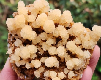 Natural Flower Calcite Specimen from Brazil, Super Rare Display Size, 230gm, S TOP Crystals
