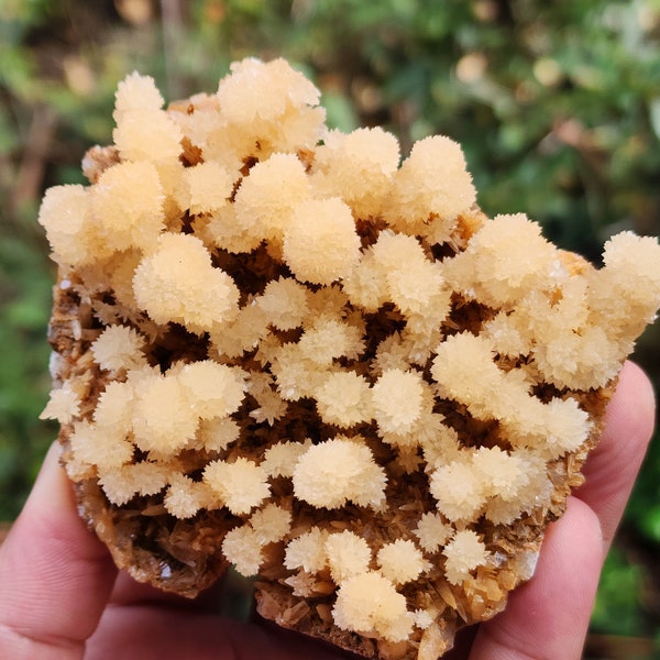 Natural Flower Calcite Specimen from Brazil, Super Rare Display Size, 230gm, S TOP Crystals