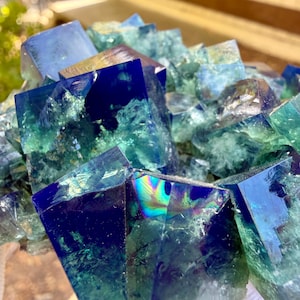 May include: A cluster of cubic fluorite crystals featuring deep royal blue and translucent seafoam green coloration. The mineral specimen displays sharp geometric edges, internal fractures, and iridescent light reflections on the crystal faces.