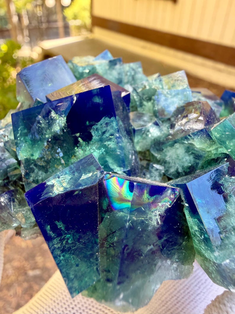 May include: A cluster of cubic fluorite crystals featuring deep royal blue and translucent seafoam green coloration. The mineral specimen displays sharp geometric edges, internal fractures, and iridescent light reflections on the crystal faces.