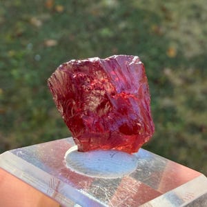 Könnte beinhalten: Ein roher, ungeschliffener, tiefroter Edelstein, möglicherweise Granat, wird auf einem transparenten Acrylständer präsentiert. Der Edelstein hat eine raue, strukturierte Oberfläche mit sichtbaren Kristallstrukturen. Der Hintergrund ist unscharf.