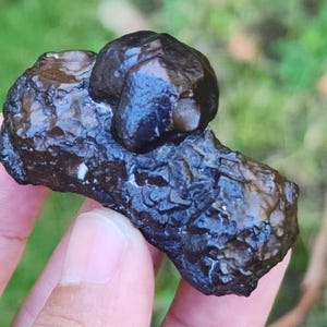 Puede incluir: Un espécimen mineral de color marrón oscuro, de forma irregular y superficie rugosa y texturizada. Presenta un grupo de protuberancias lisas, oscuras y redondeadas. El espécimen se sostiene en una mano, con un fondo verde borroso.