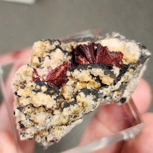 May include: A close-up of a red and black mineral specimen with a rough, textured surface. The mineral is set on a clear display stand.