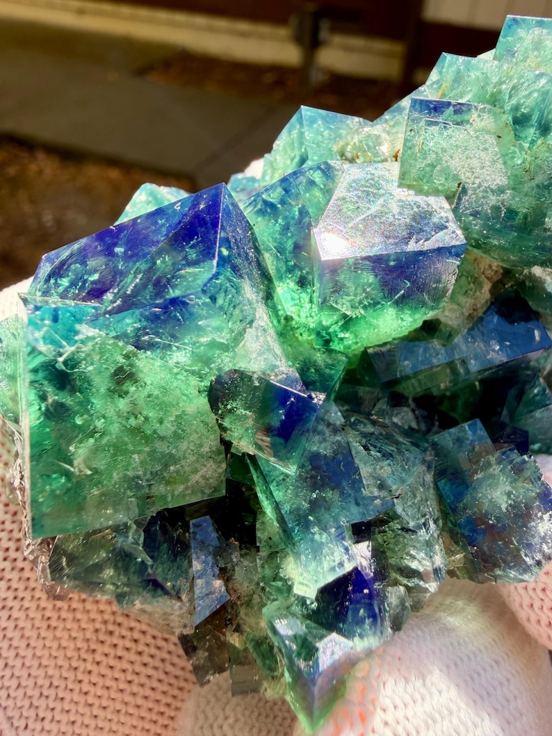 May include: A cluster of translucent fluorite crystals featuring sharp cubic formations. The mineral specimen displays a vibrant gradient of deep royal blue and bright emerald green hues, with light reflecting off the smooth, geometric crystal faces.