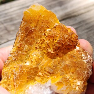 May include: A close-up of a rough, golden-yellow fluorite crystal. The mineral has a crystalline structure with a mix of square and rectangular shapes. The color varies from a bright yellow to a deeper, more amber hue. The bottom of the crystal is a white color.