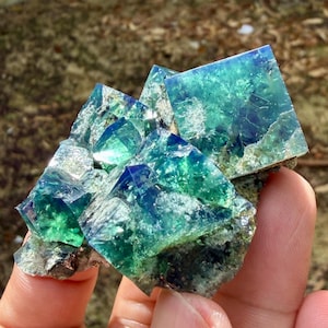 May include: A cluster of translucent cubic fluorite crystals featuring vibrant shades of teal, emerald green, and deep royal blue. The mineral specimen displays sharp geometric edges, internal fractures, and a glossy, reflective surface texture.