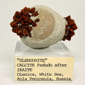 Könnte beinhalten: Ein Glendonite-Mineralspecimen mit Clustern aus rotbraunen Kristallen auf einer hellgrauen, texturierten, abgerundeten Matrix. Das Exemplar steht auf einem klaren Acrylsockel mit einem Etikett: "GLENDONITE" CALCITE Pseudo after IKAITE Olenica, White Sea, Kola Peninsula, Russia.