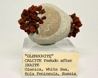 May include: A Glendonite mineral specimen featuring clusters of reddish-brown crystals on a light gray, textured, rounded matrix. The specimen sits on a clear acrylic stand with a label reading: "GLENDONITE" CALCITE Pseudo after IKAITE Olenica, White Sea, Kola Peninsula, Russia.