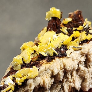 Natural Yellow Wulfenite Specimen from San Francisco Mine Mexico, Such a beautiful Collection Specimen