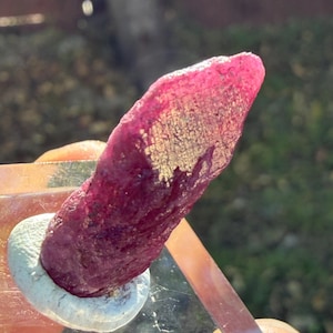 Peut inclure: Une pierre précieuse de rubis brute, de couleur rouge foncé, avec une surface texturée. La pierre allongée est maintenue dans un support transparent, mettant en valeur sa forme naturelle. Les bords rugueux et le motif unique du rubis sont visibles.
