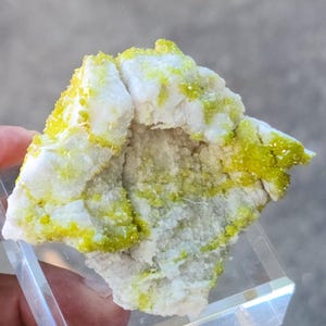 May include: A close-up of a mineral specimen featuring a cluster of white and yellow crystals. The yellow crystals are clustered around the edges and within a cavity of the white mineral. The specimen is displayed on a clear stand.