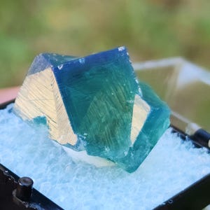 Exceptionally Stunning Rogerly Fluorite from Greedy Hog Pocket, Diana Mine, UK, Watch Video for its Fluorescent wonders, Only for Collectors