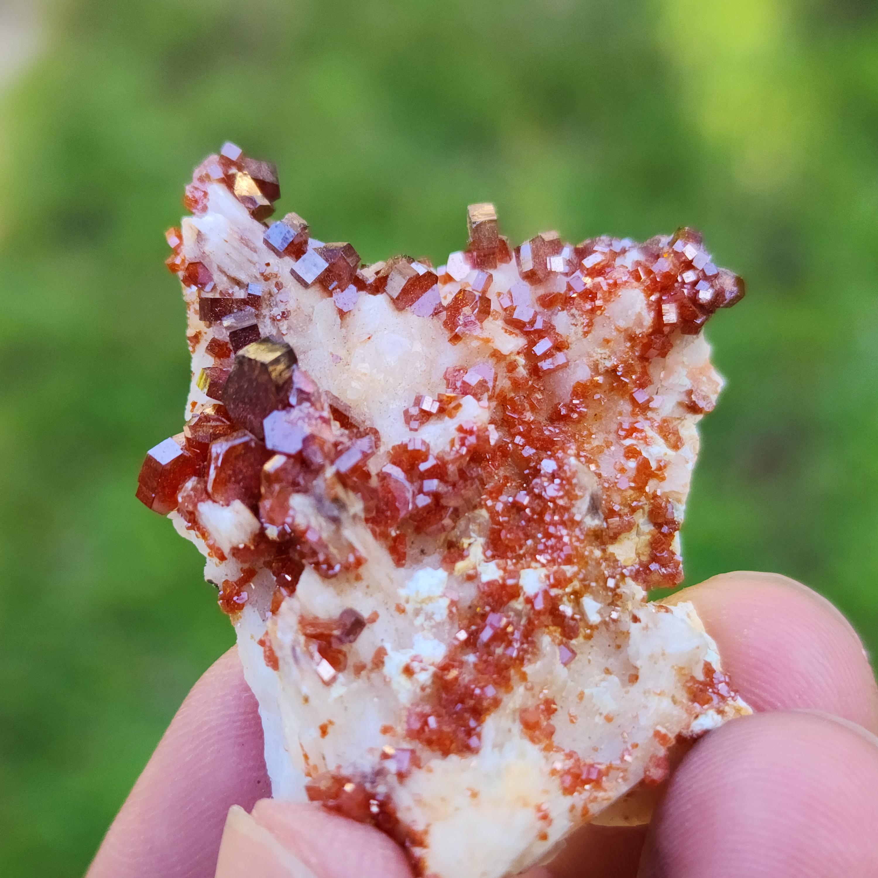 モロッコ産 バナディナイト | 鉱物標本,ハ行,バナディナイト/バナジン