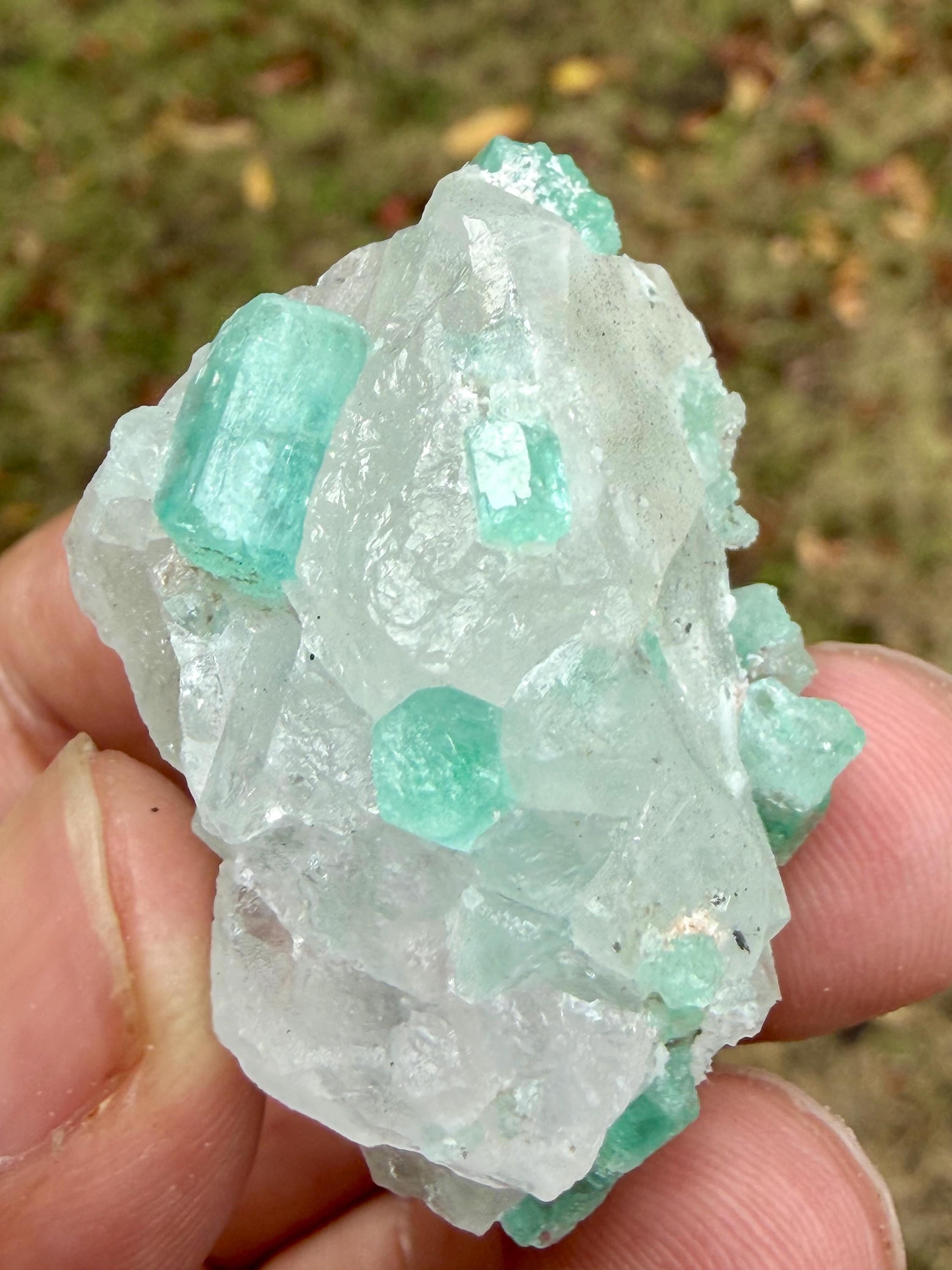 Aqua minato - Etsy 日本