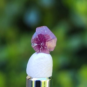 May include: A faceted, deep red ruby gemstone. The ruby is mounted on a white, cylindrical base with a silver metal stem. The background is a blurred green, suggesting an outdoor setting. The ruby's facets catch the light, displaying its rich color.