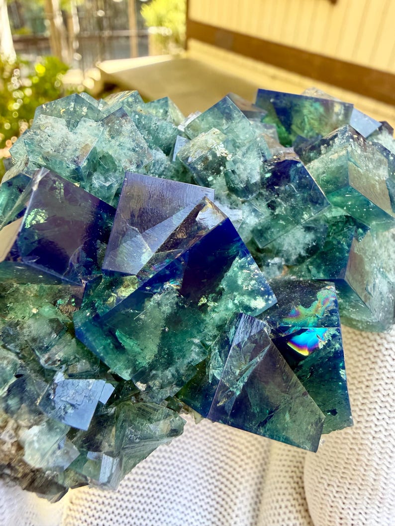 May include: A cluster of cubic fluorite crystals featuring deep royal blue and translucent emerald green hues. The mineral specimen displays sharp geometric edges, internal fractures, and a reflective, glassy luster with subtle rainbow iridescence.