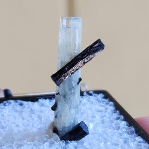Exceptionally Amazing Blue Cap Aquamarine Crystal with Tourmaline from Erongo Mountain Namibia, Only for Collectors, US Seller