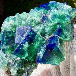 May include: A cluster of translucent fluorite crystals featuring sharp cubic formations. The mineral specimen displays a vibrant gradient of deep royal blue and bright emerald green hues, with internal fractures and crystalline facets visible throughout.
