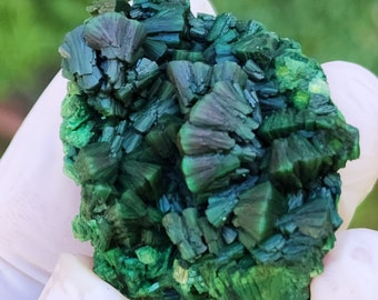 Best Collection Autunite Cluster Fluorescent from Autun France, Unique Autunite Mineral, 30gm, US TOP Crystals