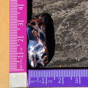 May include: A blue, brown, and white tiger's eye gemstone, measuring approximately 2 cm in length, is placed on a wooden surface next to a pink ruler.