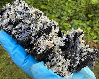 Cabinet Size Black Tourmaline Crystals with Quartz Specimen from Pakistan, Highly Lustrous Specimen from Old Collection, 600gm, 14cm