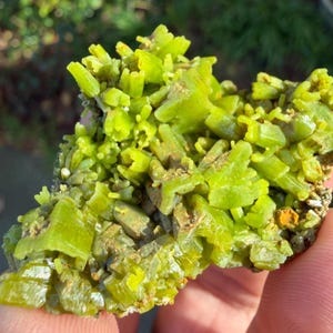 Puede incluir: Primer plano de un espécimen mineral de color verde lima brillante. El mineral muestra una estructura cristalina con una formación agrupada de pequeños cristales rectangulares. La roca base es una mezcla de tonos marrones y beige.