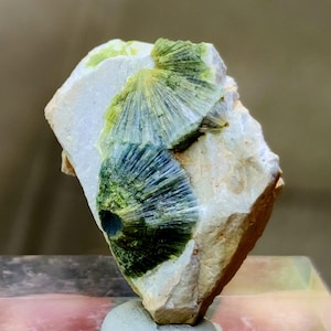 Pode incluir: Uma aproximação de um espécime mineral com formações radiantes em forma de leque em tons de verde e amarelo. Os aglomerados minerais são colocados sobre um fundo de rocha clara e de textura áspera. A composição geral destaca a beleza natural e os detalhes intrincados do mineral.