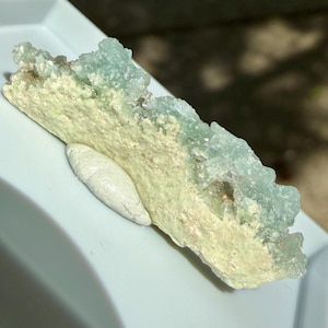 Può includere: Un esemplare di minerale naturale con una struttura cristallina verde chiaro e blu su una base beige. Una piccola pietra bianca allungata poggia sulla base. L'esemplare è esposto su una superficie azzurra.