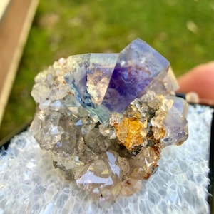 Può includere: Primo piano di un campione minerale naturale. L'immagine mostra un gruppo di cristalli, con un cristallo prominente e sfaccettato in tonalità viola e blu. Cristalli più piccoli, chiari e dorati lo circondano, creando un contrasto visivo accattivante.