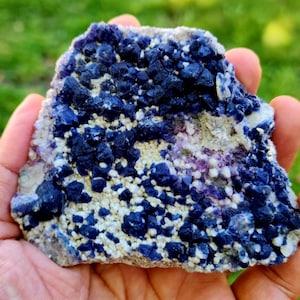 Puede incluir: Primer plano de un espécimen mineral natural. La roca presenta grupos de cristales azul oscuro y formaciones granulares blancas y amarillas. La muestra se sostiene en una mano sobre un fondo verde borroso.