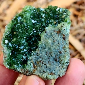 May include: A close-up of a raw, uncut mineral specimen. The mineral features a vibrant, deep green crystalline structure on a rough, light green matrix. The surface has a sparkling, reflective quality, with areas of darker green.