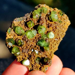 May include: A close-up of a mineral specimen featuring vibrant green crystals clustered on a textured, brownish-yellow matrix. The crystals have a glassy appearance, and the matrix has a rough, granular surface. The specimen is held in a person's hand.